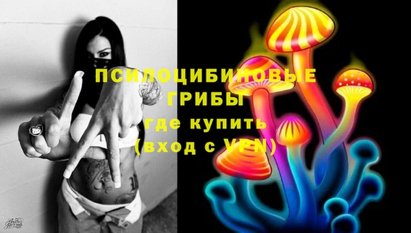 винт Алексеевка