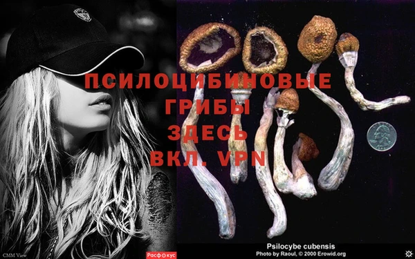 винт Алексеевка
