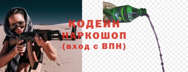 дурь Алексин