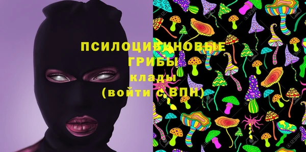 винт Алексеевка