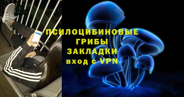 винт Алексеевка
