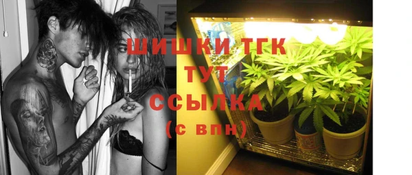 стаф Аркадак